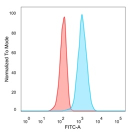 Flow cytometric analysis of PFA-fixed U87 cells. EIF4E Mouse Monoclonal Antibody (PCRP-EIF4E-1D3) followed by goat anti-mouse IgG-CF488 (blue), isotype control (red). EIF4E Antibody - Image 5
