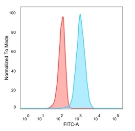 Flow cytometric analysis of PFA-fixed U87 cells. EIF4E Mouse Monoclonal Antibody (PCRP-EIF4E-1D3) followed by goat anti-mouse IgG-CF488 (blue), isotype control (red).