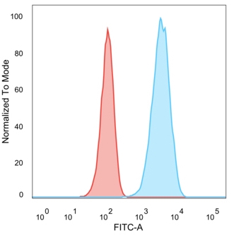 Flow Cytometric Analysis of human trypsinized MCF-7 cells using HER-2 Mouse Monoclonal Antibody (HRB2/776) followed by Goat anti-Mouse IgG-CF488 (Blue); Isotype control (Red).