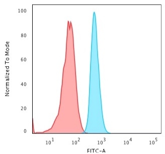 Flow Cytometric Analysis of HeLa cells using KRT15 Rabbit Recombinant Monoclonal Ab (KRT15/2103R) followed by Goat anti-rabbit IgG-CF488 (Blue); Isotype Control (Red).