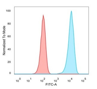 Immunofluorescence Analysis of PFA-fixed MCF-7 cells stained using Lactotransferrin Mouse Monoclonal Antibody (LTF/4073)