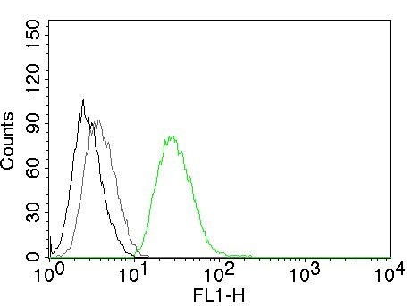 Flow Cytometric Analysis of human ODC-1 in PC3 cells. Black: cells alone; Grey: Isotype Control; Green: AF488-labeled ODC-1 Mouse Monoclonal Antibody (ODC1/485).