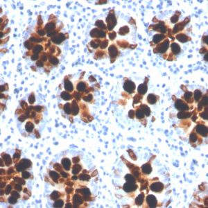 Formalin-fixed, paraffin-embedded human colon stained with Intelectin 1 / Omentin Mouse Monoclonal Antibody (ITLN1/4066).