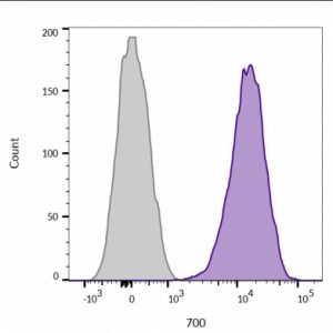 Flow Cytometric Analysis of live Jurkat cells unstained (grey) and using CD45 Mouse Monoclonal Antibody (2B11+PD7/26) conjugated with CF680 (purple).