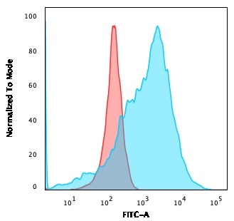 Flow Cytometric Analysis of K562 cells using GLUT-1 Recombinant Rabbit Monoclonal Antibody (GLUT1/3132R) followed by goat anti-rabbit IgG-CF488 (Blue); Isotype Control (Red).