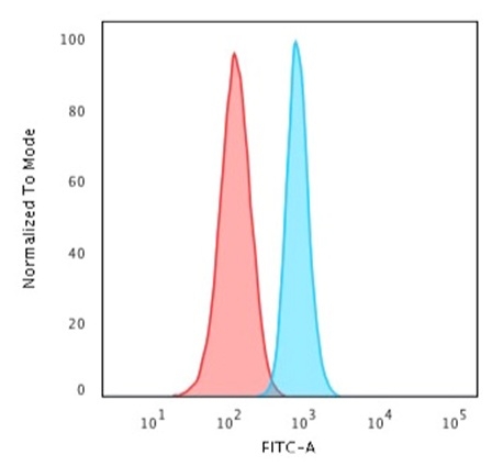 Flow Cytometric Analysis of HeLa cells. Spectrin beta III Monoclonal Antibody (SPTBN2/1583) labeled with CF488 followed by Goat anti-Mouse IgG-CF488 (Blue); Isotype Control (Red).