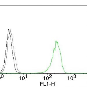 Flow Cytometry of human CD71 on K562 cells. Black: cells alone; Grey: Isotype Control; Green: AF488-labeled CD71 Mouse Monoclonal Antibody (66IG10).
