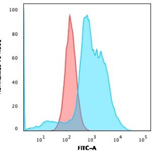 Flow Cytometric Analysis of SKBR-3 cells using B7-H4 Mouse Monoclonal Antibody (B7H4/1788) followed by goat anti-Mouse IgG-CF488 (Blue); Isotype Control (Red).