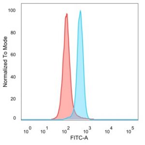 Flow Cytometric Analysis of PFA-fixed HeLa cells. RPS6KA5 / MSK1 Mouse Monoclonal Antibody (PCRP-RPS6KA5-1A8) followed by goat anti-mouse IgG-CF488 (blue); isotype control (red).