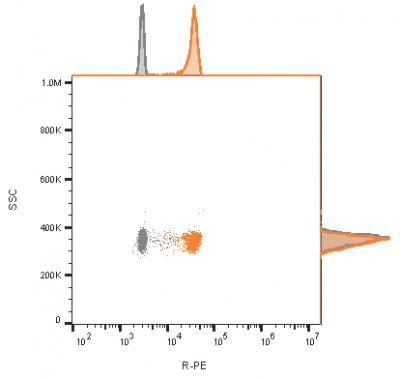 Flow cytometry of bead-bound exosomes derived from MCF-7 cells. Unstained exosomes (gray) or stained with CF568-labeled CD9 monoclonal antibody (CD9/1619) (orange).