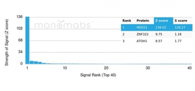 Analysis of Protein Array containing more than 19,000 full-length human proteins using MED21 Mouse Monoclonal Antibody (PCRP-MED21-4B5. Z- and S- Score: The Z-score represents the strength of a signal that a monoclonal antibody (MAb) (in combination with a fluorescently-tagged anti-IgG secondary antibody) produces when binding to a particular protein on the HuProtTM array. Z-scores are described in units of standard deviations (SD's) above the mean value of all signals generated on that array. If targets on HuProtTM are arranged in descending order of the Z-score, the S-score is the difference (also in units of SD's) between the Z-score. S-score therefore represents the relative target specificity of a MAb to its intended target. A MAb is considered to specific to its intended target, if the MAb has an S-score of at least 2.5. For example, if a MAb binds to protein X with a Z-score of 43 and to protein Y with a Z-score of 14, then the S-score for the binding of that MAb to protein X is equal to 29. MED21 / SRB7 Antibody - Image 6