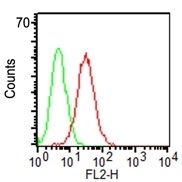 Flow Cytometry of KG-1 cells using CD34 Monoclonal Antibody (ICO-115) (red) and isotype control (green).