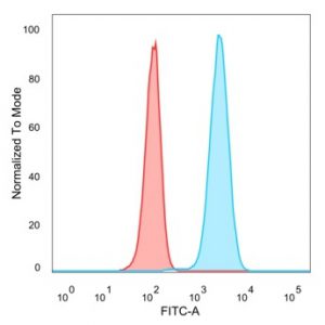 Flow cytometric analysis of PFA-fixed HeLa cells. CREB5 Mouse Monoclonal Antibody (PCRP-CREB5-1G8) followed by goat anti-mouse IgG-CF488 (blue); unstained cells (red).