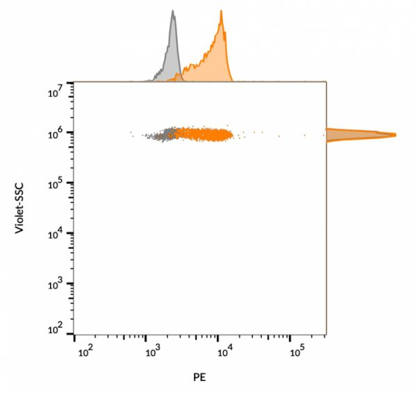 Flow cytometry of bead-bound exosomes derived from MCF-7 cells. Unstained exosomes (gray) or stained with CF555-labeled CD63 monoclonal antibody (LAMP3/968) (orange)