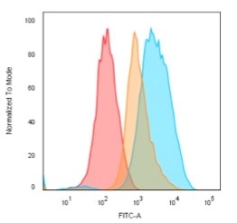 Flow Cytometric Analysis of Raji cells. CD74 Mouse Monoclonal Antibody (LN-2+CLIP/813) followed by goat anti-Mouse IgG-CF488. Orange: cells are not permeabilized. Blue: cells are permeabilized. Isotype Control (Red).
