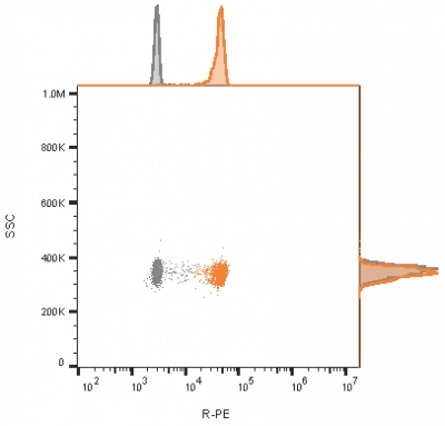Flow cytometry analysis of bead-bound exosomes derived from MCF-7 cells. Unstained exosomes (gray) or exosomes stained with CF568-labeled CD81 monoclonal antibody (1.3.3.22) (orange).