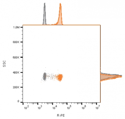 Flow cytometry analysis of bead-bound exosomes derived from MCF-7 cells. Unstained exosomes (gray) or exosomes stained with CF568-labeled CD81 monoclonal antibody (rC81/3442) (orange).