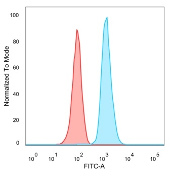 Flow Cytometric Analysis of PFA-fixed Raji cells with Human Nuclear Antigen Mouse Monoclonal Antibody (235-1) followed by goat anti-mouse IgG-CF488 (blue); isotype control (red).