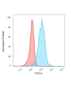 Flow Cytometric Analysis of PFA-fixed Jurkat cells with Human Nuclear Antigen Mouse Monoclonal Antibody (235-1) followed by goat anti-mouse IgG-CF488 (blue); isotype control (red).