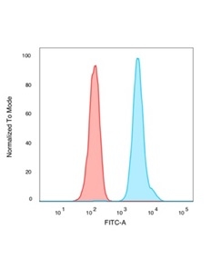 Flow Cytometric Analysis of PFA-fixed K562 cells with Human Nuclear Antigen Mouse Monoclonal Antibody (235-1) followed by goat anti-mouse IgG-CF488 (blue); isotype control (red).
