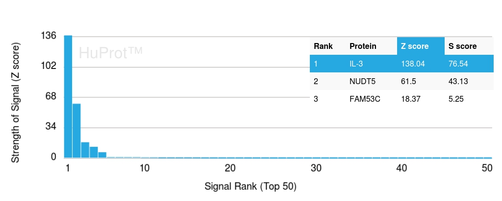 Analysis of HuProt™ Protein Array (21,000+ full-length human proteins) with Interleukin-3 Mouse Monoclonal Antibody (IL3/4001).
Z-score: Signal strength (in SD above the mean) of antibody binding to each protein.
S-score: Difference in Z-scores between the top target and the next best hit, indicating relative specificity.
An antibody is considered specific if S ≥ 2.5. Example: Binding to protein X (Z = 43) vs protein Y (Z = 14) → S = 29. Interleukin-3 (IL-3) Antibody in Human Protein Array (HuProt) Analysis