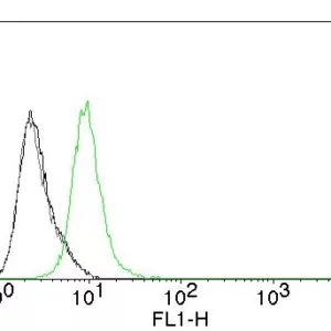 p27 Antibody in Flow Cytometry (FC)