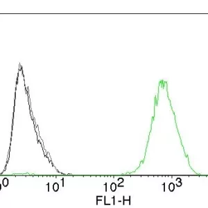 EGFR Antibody in Flow Cytometry (FC)