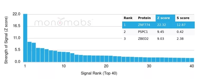 Analysis of Protein Array containing more than 19,000 full-length human proteins using ZNF774 Mouse Monoclonal Antibody (PCRP-ZNF774-3F7). Z- and S- Score: The Z-score represents the strength of a signal that a monoclonal antibody (MAb) (in combination with a fluorescently-tagged anti-IgG secondary antibody) produces when binding to a particular protein on the HuProtTM array. Z-scores are described in units of standard deviations (SD's) above the mean value of all signals generated on that array. If targets on HuProtTM are arranged in descending order of the Z-score, the S-score is the difference (also in units of SD's) between the Z-score. S-score therefore represents the relative target specificity of a MAb to its intended target. A MAb is considered to specific to its intended target, if the MAb has an S-score of at least 2.5. For example, if a MAb binds to protein X with a Z-score of 43 and to protein Y with a Z-score of 14, then the S-score for the binding of that MAb to protein X is equal to 29. ZNF774 Antibody - Image 3