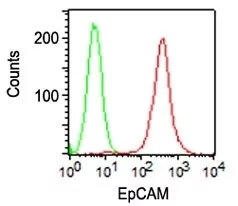 Flow Cytometric analysis of human Ep-CAM on HT29 cells. Black: cells alone; Green: Isotype Control; Red: PE-labeled Ep-CAM Monoclonal Antibody (VU-1D9).