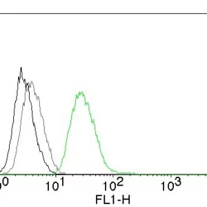 Flow Cytometry of human ODC1 on PC3 cells. Black: cells alone; Grey: Isotype Control; Green: CF488-labeled ODC1 Monoclonal Antibody (ODC1/485).