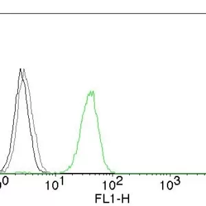 Flow Cytometry of human CD31 on Jurkat cells. Black: cells alone; Grey: Isotype Control; Green: CF488-labeled CD31 Monoclonal Antibody (JC/70A).