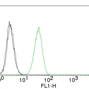 Flow Cytometry of human CD31 on Jurkat cells. Black: cells alone; Grey: Isotype Control; Green: CF488-labeled CD31 Monoclonal Antibody (C31.10).