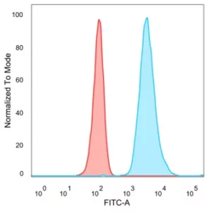 Flow Cytometric Analysis of PFA-fixed HeLa cells. SFMBT2 Mouse Monoclonal Antibody (PCRP-SFMBT2-2E12) followed by goat anti-mouse IgG-CF488 (blue); unstained cells (red).