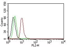 Flow Cytometric analysis of human Cyclin D1 on Jurkat cells. Black: cells alone; Green: Isotype Control; Red: PE-labeled Cyclin D1 Monoclonal Antibody (SPM587).