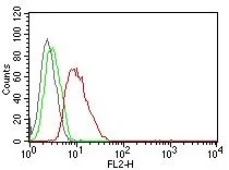 Flow Cytometric analysis of human Cyclin D1 on MCF-7 cells. Black: cells alone; Green: Isotype Control; Red: PE-labeled Cyclin D1 Monoclonal Antibody (SPM587).
