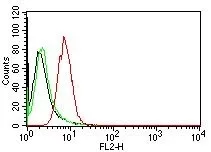Flow Cytometric analysis of human Cyclin D1 on HeLa cells. Black: cells alone; Green: Isotype Control; Red: PE-labeled Cyclin D1 Monoclonal Antibody (CCND1/809).