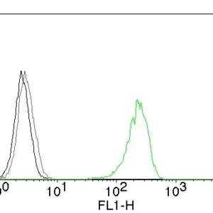 Flow Cytometry of human CD71 on K562 cells. Black: cells alone; Grey: Isotype Control; Green: CF488-labeled CD71 Monoclonal Antibody (66IG10).