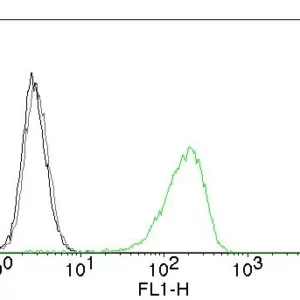Flow Cytometry of human CD71 on Jurkat cells. Black: cells alone; Grey: Isotype Control; Green: CF488-labeled CD71 Monoclonal Antibody (TFRC/1059).