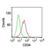 Flow cytometry of KG-1 cells using CD34 Monoclonal Antibody (ICO-115) (red) and isotype control Ab (green).