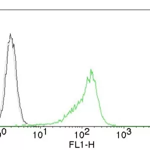 Flow Cytometric Analysis of human Nucleolar Ag on 293T cells. Black: cells alone; Grey: Isotype Control; Green: CF488-labeled human Nucleolar Monoclonal Antibody (NM95).