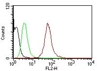 Flow Cytometric analysis of human Pan-Cytokeratins on HeLa cells. Black: cells alone; Green: Isotype Control; Red: PE-labeled Pan-Cytokeratin Monoclonal Antibody (SPM115 + SPM116).