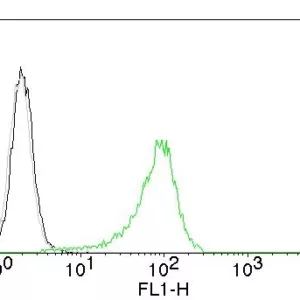 Flow Cytometry of Human Nuclear Ag (HNA) on 293T cells. Black: cells alone; Grey: Isotype Control; Green: CF488-labeled HNA Monoclonal Antibody (235-1).