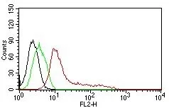 Flow Cytometric analysis of Human Nuclear Antigen on MCF-7 cells. Black: cells alone; Green: Isotype Control; Red: PE-labeled HNA Monoclonal Antibody (235-1).