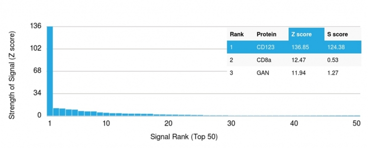 Analysis of HuProtâ„¢ Protein Array (21,000+ full-length human proteins) with IL3RA / CD123 Mouse Monoclonal Antibody (IL3RA/1531)
Z-score: Signal strength (in SD above the mean) of antibody binding to each protein.
S-score: Difference in Z-scores between the top target and the next best hit, indicating relative specificity.
An antibody is considered specific if S ≥ 2.5. Example: Binding to protein X (Z = 43) vs protein Y (Z = 14) → S = 29. IL3RA Antibody in Human Protein Array (HuProt) Analysis